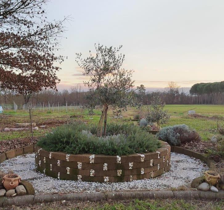 Donnola: Casa Rosmarino Holiday home *