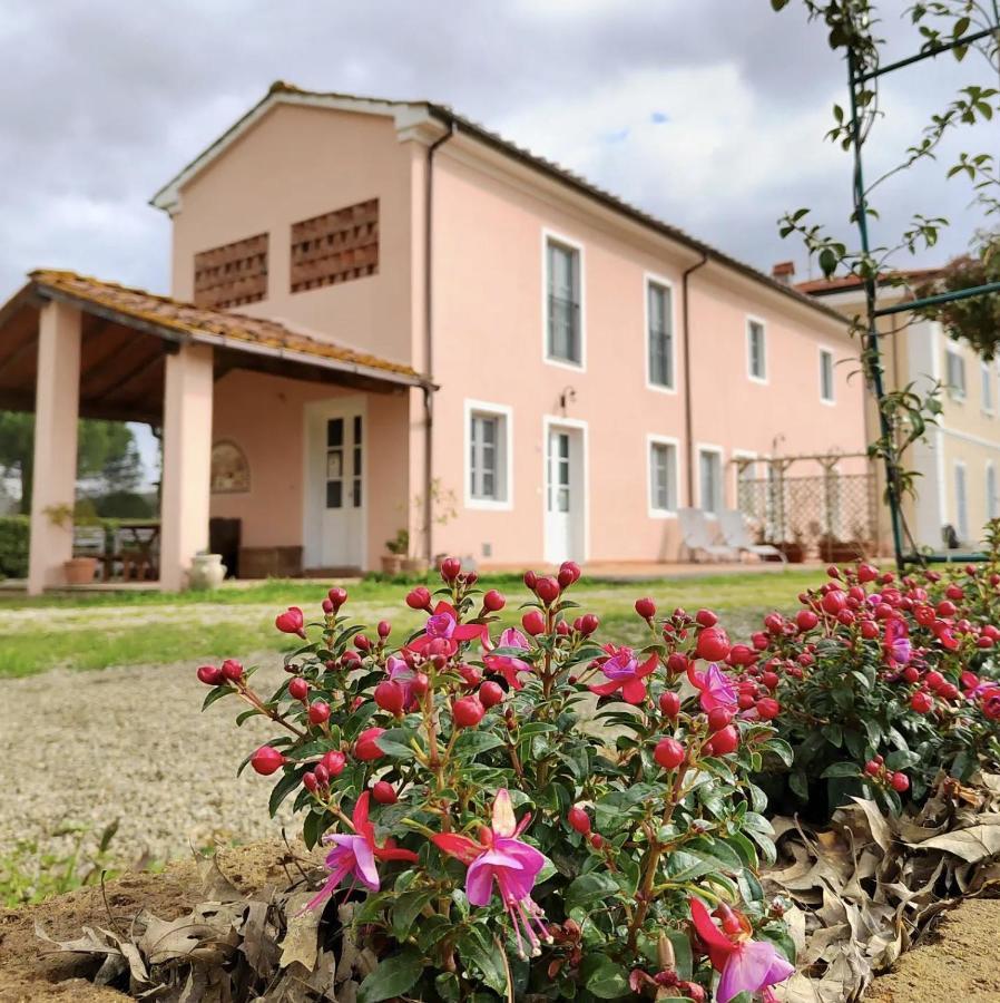 Holiday home Donnola: Casa Rosmarino