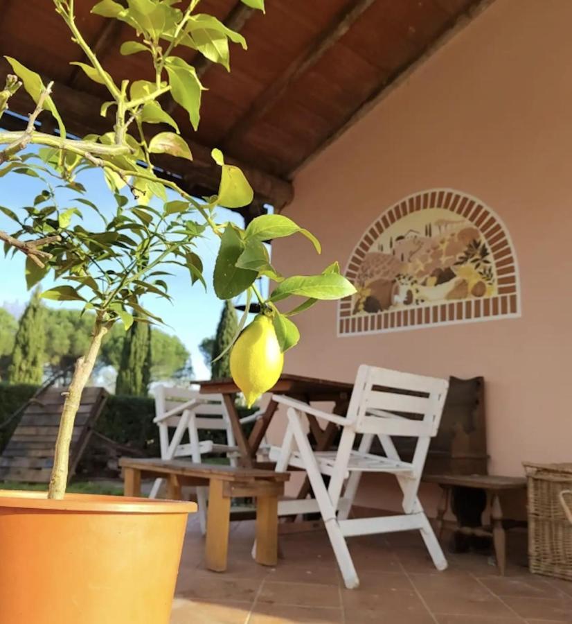Donnola: Casa Rosmarino *
