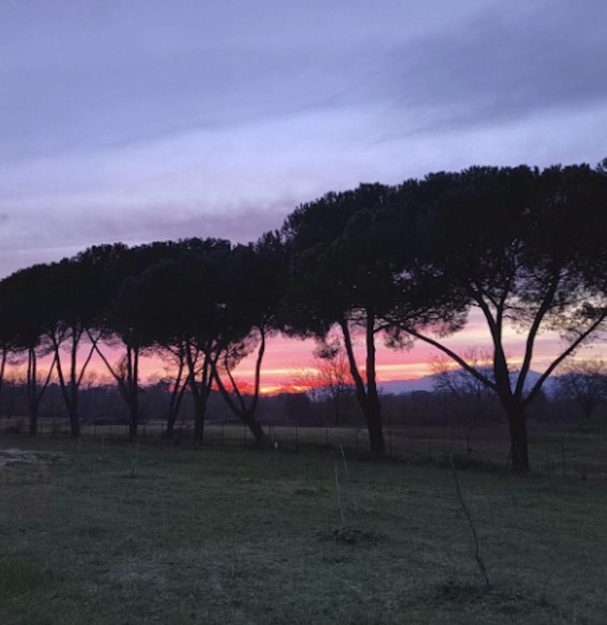 Holiday home Donnola: Casa Rosmarino *